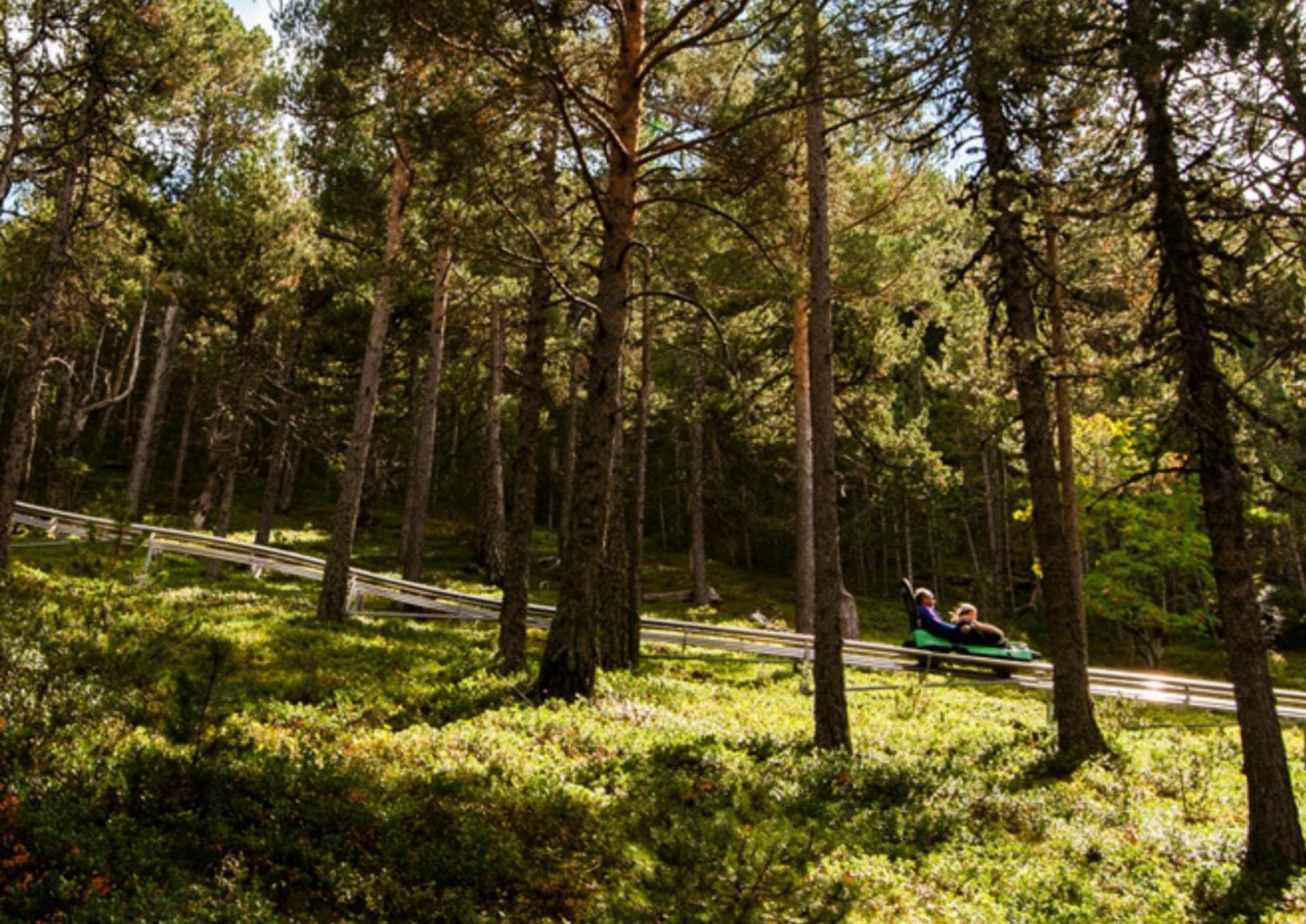 Apartamento Moderno El Bosque En Arinsal Eksteriør billede